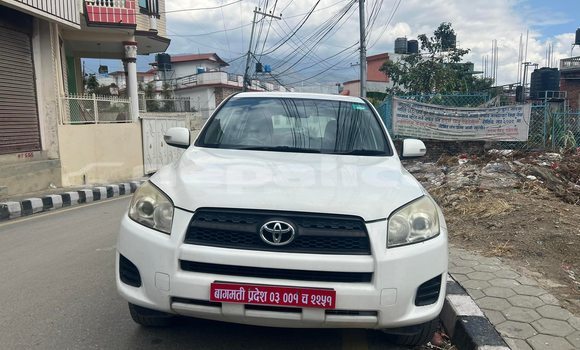 Buy Used Toyota RAV4 White Car in Kathmandu in Bagmati
