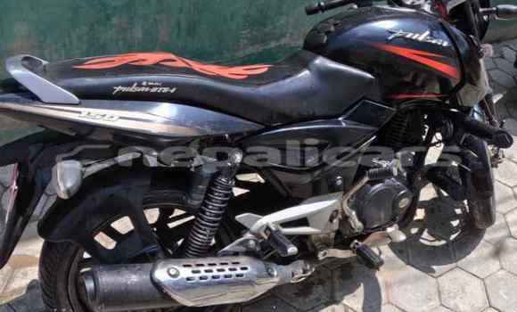 Buy Used Bajaj PULSAR Black Bike in Kathmandu in Bagmati Buy Used Bajaj PULSAR Black Bike in Kathmandu in Bagmati