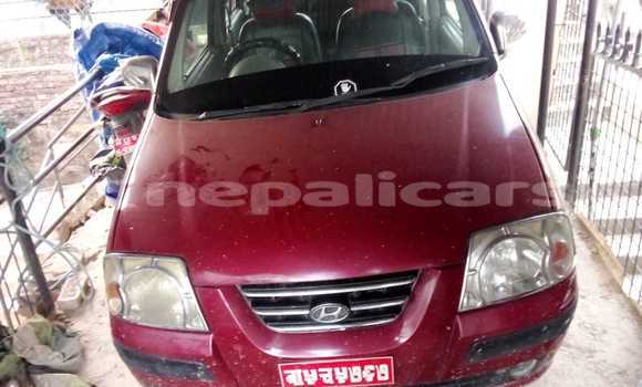 Buy Used Hyundai Click Red Car in Kathmandu in Bagmati