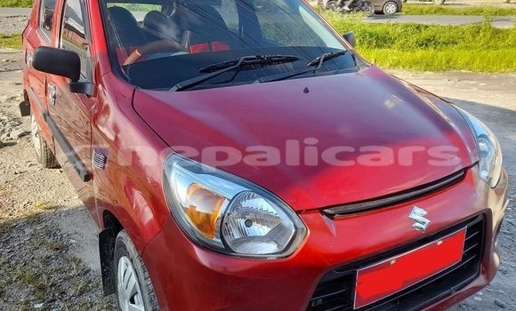 Buy Used Suzuki Alto Red Car in Pokhara in Gandaki