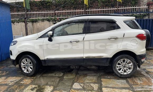 Buy Used Toyota 4Runner Other Car in Kathmandu in Bagmati