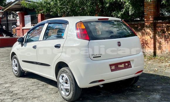 Buy Used Fiat Punto White Car in Kathmandu in Bagmati Buy Used Fiat Punto White Car in Kathmandu in Bagmati