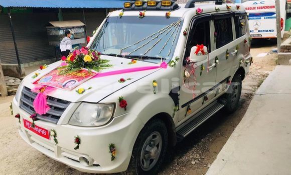 Buy Used TATA Sumo Grande White Car in Kathmandu in Bagmati