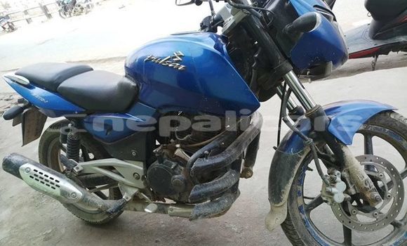 Buy Used Bajaj PULSAR Blue Bike in Kathmandu in Bagmati Buy Used Bajaj PULSAR Blue Bike in Kathmandu in Bagmati