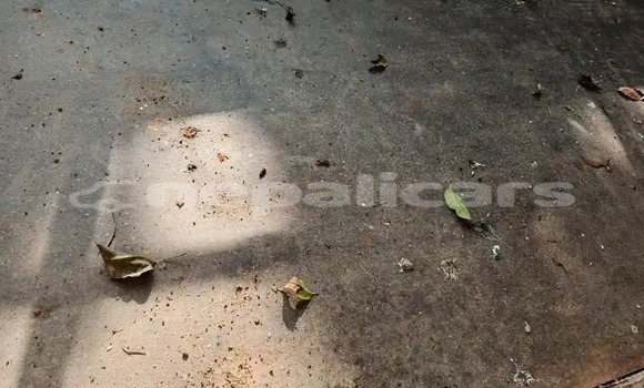 Buy Used Isuzu FTR 850 White Truck in Kathmandu in Bagmati Buy Used Isuzu FTR 850 White Truck in Kathmandu in Bagmati