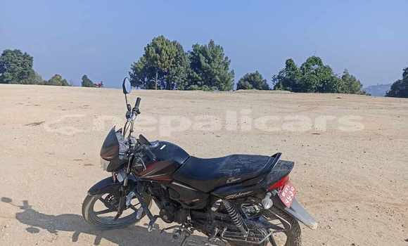 Buy Used Honda ACE CB 125 Black Bike in Bhaktapur in Bagmati Buy Used Honda ACE CB 125 Black Bike in Bhaktapur in Bagmati