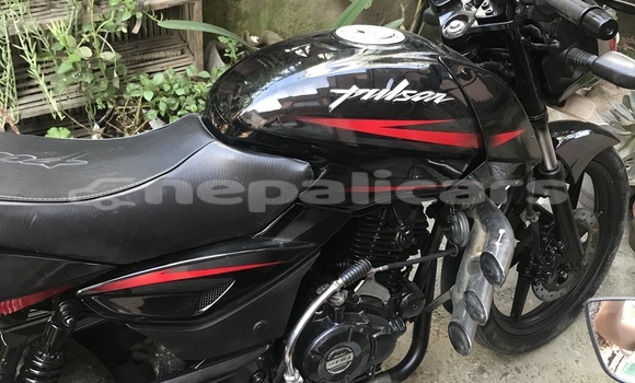 Buy Used Bajaj PULSAR Black Bike in Kathmandu in Bagmati Buy Used Bajaj PULSAR Black Bike in Kathmandu in Bagmati