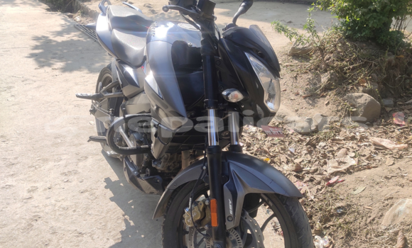 Buy Used Bajaj PULSAR Black Bike in Kathmandu in Bagmati Buy Used Bajaj PULSAR Black Bike in Kathmandu in Bagmati