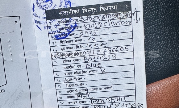 Buy Used Renault KWID Green Car in Hetauda in Narayani