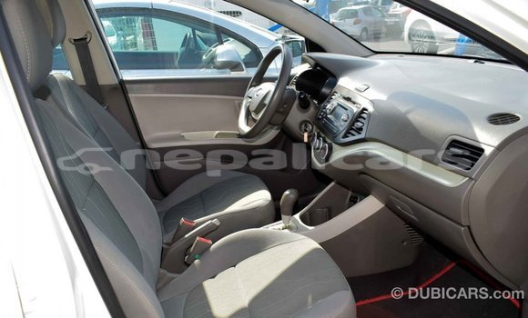 Buy Import Kia Picanto White Car in Import - Dubai in Bagmati Buy Import Kia Picanto White Car in Import - Dubai in Bagmati