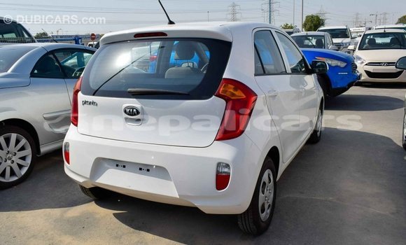 Buy Import Kia Picanto White Car in Import - Dubai in Bagmati Buy Import Kia Picanto White Car in Import - Dubai in Bagmati