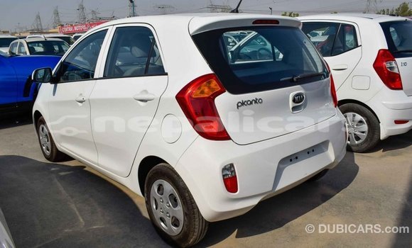 Buy Import Kia Picanto White Car in Import - Dubai in Bagmati Buy Import Kia Picanto White Car in Import - Dubai in Bagmati