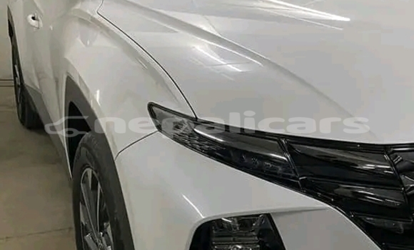 Buy Used Toyota Tundra White Car in Dhulikhel in Bagmati Buy Used Toyota Tundra White Car in Dhulikhel in Bagmati