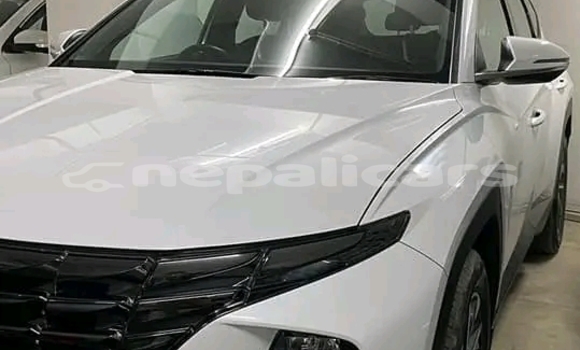 Buy Used Toyota Tundra White Car in Dhulikhel in Bagmati Buy Used Toyota Tundra White Car in Dhulikhel in Bagmati