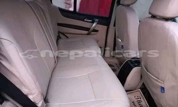 Buy Used Excalibur Series V Other Car in Dharan in Koshi