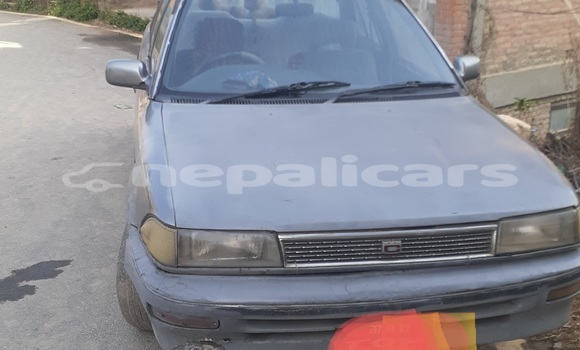 Buy Used Toyota Corolla Other Car in Bhaktapur in Bagmati Buy Used Toyota Corolla Other Car in Bhaktapur in Bagmati