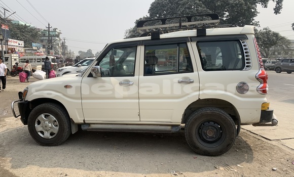 Buy Used Mahindra Scorpio White Car in Bhadrapur in Mechi Buy Used Mahindra Scorpio White Car in Bhadrapur in Mechi