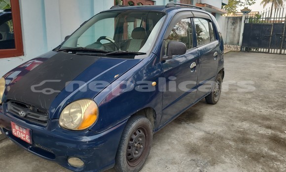 Buy Used Hyundai Santamo Blue Car in Biratnagar in Koshi Buy Used Hyundai Santamo Blue Car in Biratnagar in Koshi
