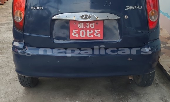 Buy Used Hyundai Santamo Blue Car in Biratnagar in Koshi Buy Used Hyundai Santamo Blue Car in Biratnagar in Koshi