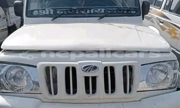 Buy Used Bertone Freeclimber Other Car in Bharatpur in Narayani Buy Used Bertone Freeclimber Other Car in Bharatpur in Narayani