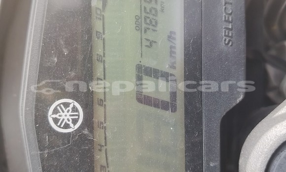 Buy Used Yamaha FZ Green Bike in Sinduli Marhi in Janakpur Buy Used Yamaha FZ Green Bike in Sinduli Marhi in Janakpur