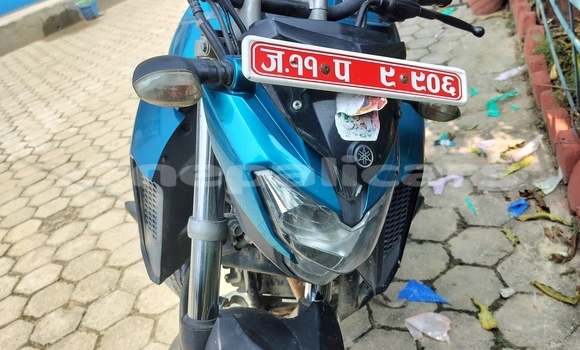 Buy Used Yamaha FZ Green Bike in Sinduli Marhi in Janakpur Buy Used Yamaha FZ Green Bike in Sinduli Marhi in Janakpur