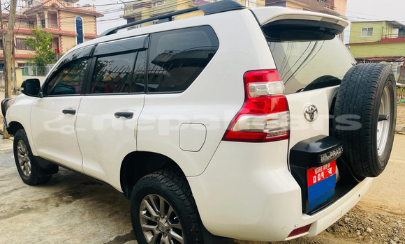 Buy Used Toyota Land Cruiser Prado White Car in Kathmandu in Bagmati Buy Used Toyota Land Cruiser Prado White Car in Kathmandu in Bagmati