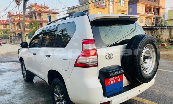 Buy Used Toyota Land Cruiser Prado White Car in Kathmandu in Bagmati Buy Used Toyota Land Cruiser Prado White Car in Kathmandu in Bagmati