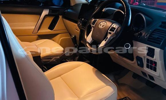 Buy New Toyota Land Cruiser White Car in Kathmandu in Bagmati Buy New Toyota Land Cruiser White Car in Kathmandu in Bagmati