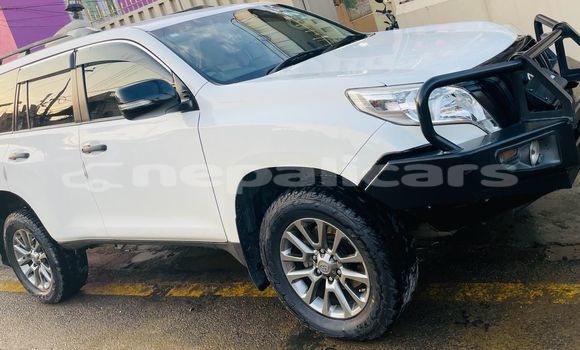 Buy New Toyota Land Cruiser White Car in Kathmandu in Bagmati Buy New Toyota Land Cruiser White Car in Kathmandu in Bagmati