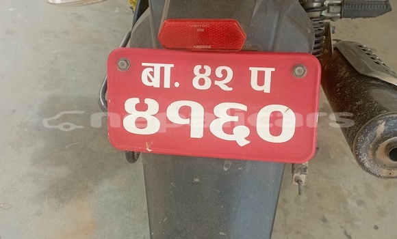 Buy Used Bajaj PULSAR Blue Bike in Dhulikhel in Bagmati Buy Used Bajaj PULSAR Blue Bike in Dhulikhel in Bagmati