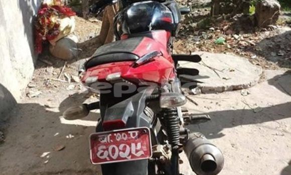 Buy Used Bajaj PULSAR Red Bike in Kathmandu in Bagmati Buy Used Bajaj PULSAR Red Bike in Kathmandu in Bagmati