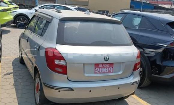 Buy Used Skoda Fabia Other Car in Bharatpur in Narayani