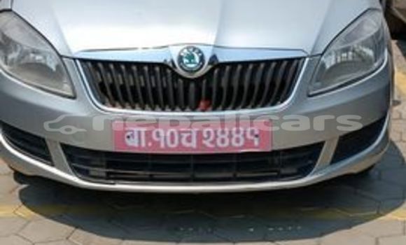 Buy Used Skoda Fabia Other Car in Bharatpur in Narayani Buy Used Skoda Fabia Other Car in Bharatpur in Narayani