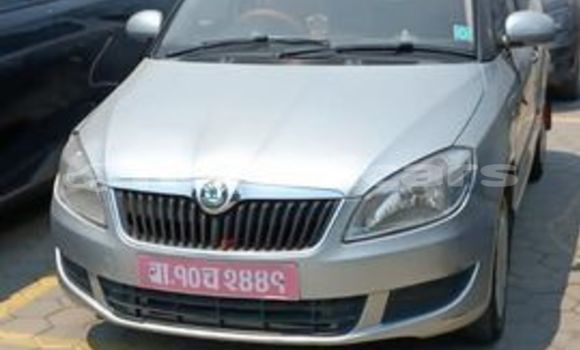 Buy Used Skoda Fabia Other Car in Bharatpur in Narayani Buy Used Skoda Fabia Other Car in Bharatpur in Narayani