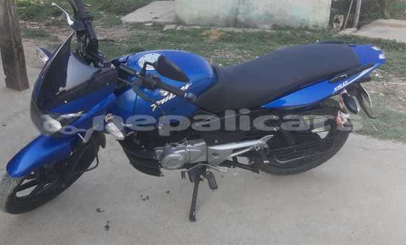 Buy Used Bajaj PULSAR Blue Bike in Tulsipur in Rapti Buy Used Bajaj PULSAR Blue Bike in Tulsipur in Rapti