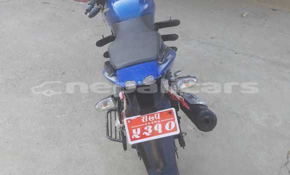 Buy Used Bajaj PULSAR Blue Bike in Tulsipur in Rapti Buy Used Bajaj PULSAR Blue Bike in Tulsipur in Rapti