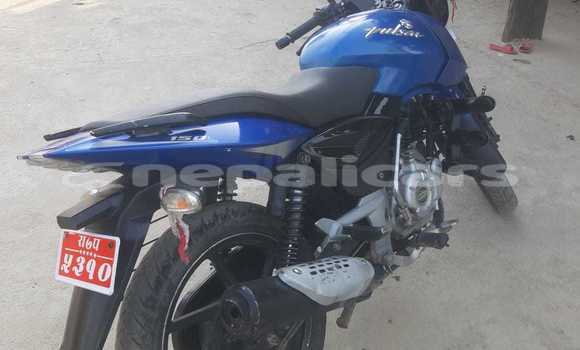 Buy Used Bajaj PULSAR Blue Bike in Tulsipur in Rapti Buy Used Bajaj PULSAR Blue Bike in Tulsipur in Rapti