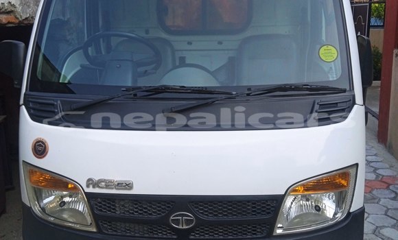 Buy Used TATA Estate White Car in Bharatpur in Narayani