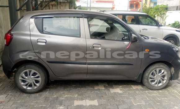 Buy New Suzuki Celerio Silver Car in Kathmandu in Bagmati