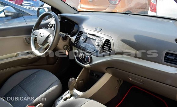 Buy Import Kia Picanto Brown Car in Import - Dubai in Bagmati Buy Import Kia Picanto Brown Car in Import - Dubai in Bagmati