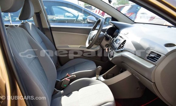 Buy Import Kia Picanto Brown Car in Import - Dubai in Bagmati Buy Import Kia Picanto Brown Car in Import - Dubai in Bagmati