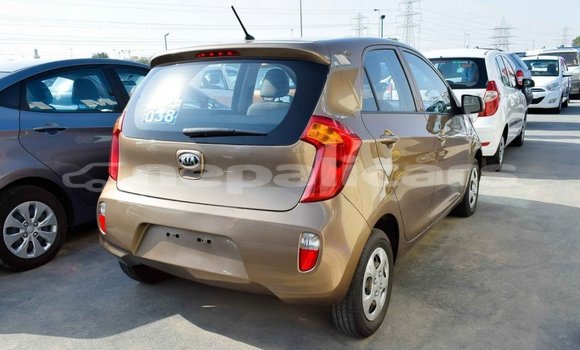 Buy Import Kia Picanto Brown Car in Import - Dubai in Bagmati Buy Import Kia Picanto Brown Car in Import - Dubai in Bagmati