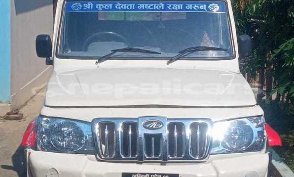 Buy Used AC Ace White Car in Butwal in Lumbini