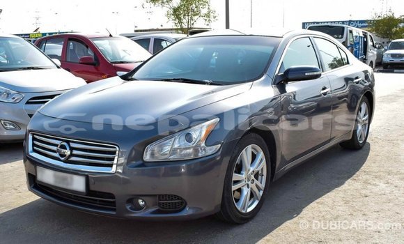 Buy Import Nissan Maxima Other Car in Import - Dubai in Bagmati Buy Import Nissan Maxima Other Car in Import - Dubai in Bagmati