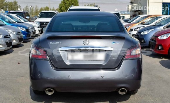 Buy Import Nissan Maxima Other Car in Import - Dubai in Bagmati Buy Import Nissan Maxima Other Car in Import - Dubai in Bagmati