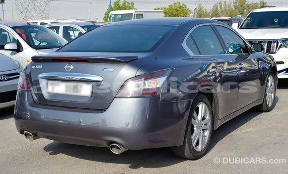 Buy Import Nissan Maxima Other Car in Import - Dubai in Bagmati Buy Import Nissan Maxima Other Car in Import - Dubai in Bagmati