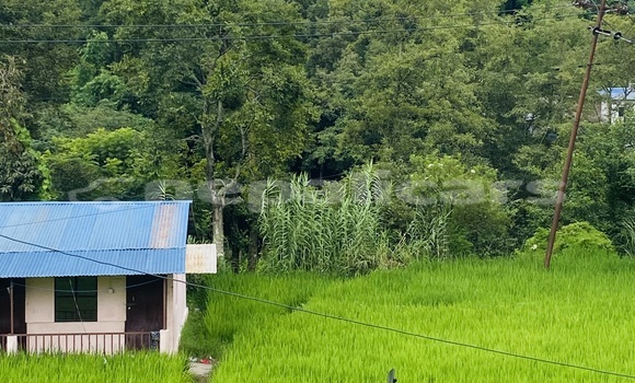 Buy Used Bajaj PULSAR Black Bike in Kathmandu in Bagmati Buy Used Bajaj PULSAR Black Bike in Kathmandu in Bagmati