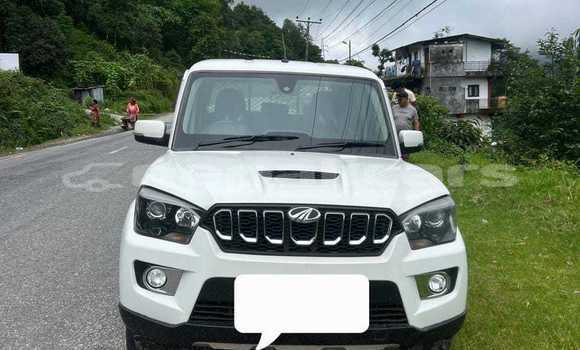 Buy Used Mahindra Scorpio White Car in Dhangadi in Seti Buy Used Mahindra Scorpio White Car in Dhangadi in Seti