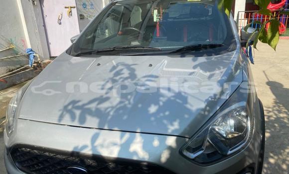 Buy Used Ford Freestyle Silver Car in Bhadrapur in Mechi